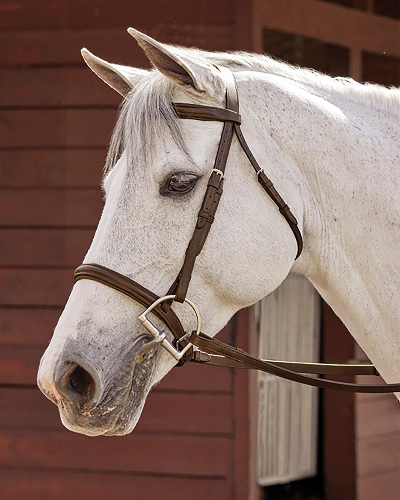 Hunter Fancy-Stitched Bridle