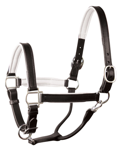 " Padded Leather Halter