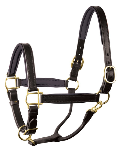 " Padded Leather Halter