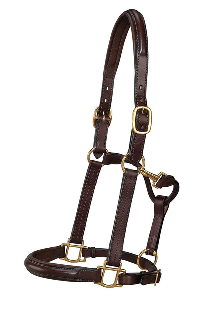 Classic Plain Raised Padded Halter