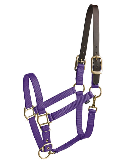 Heavy Nylon Halter with Breakaway Crown
