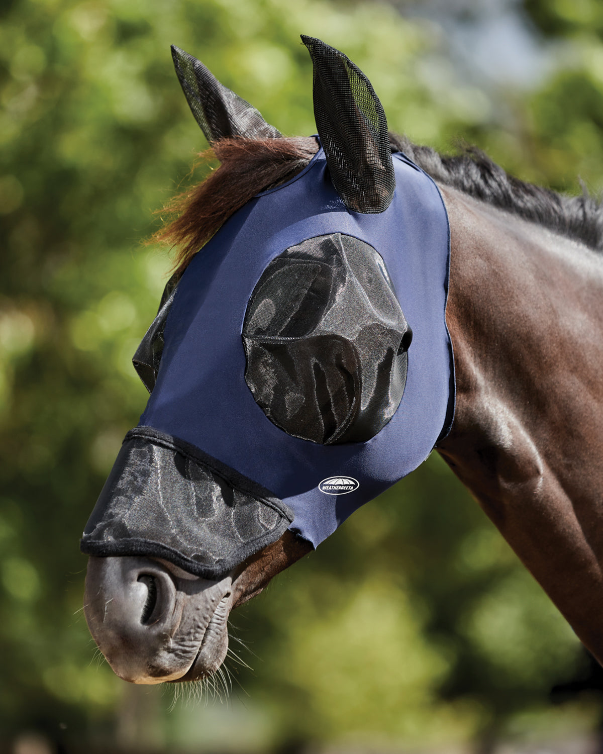 Luxe Bug Eye Saver with Ears & Nose