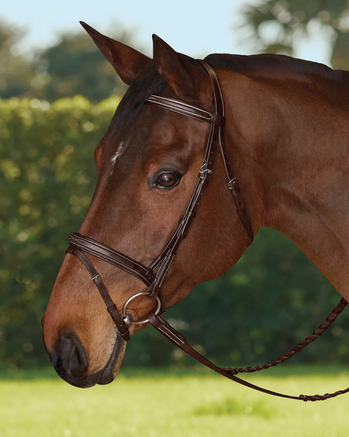 Flash Noseband