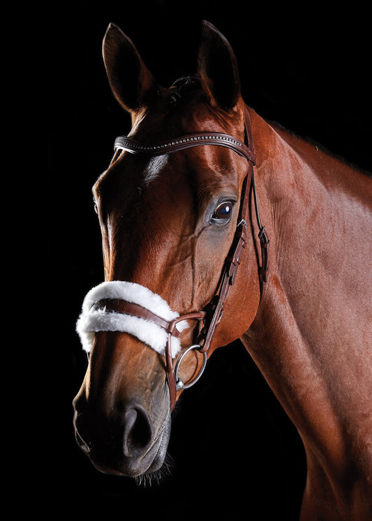 Sheepskin Bridle