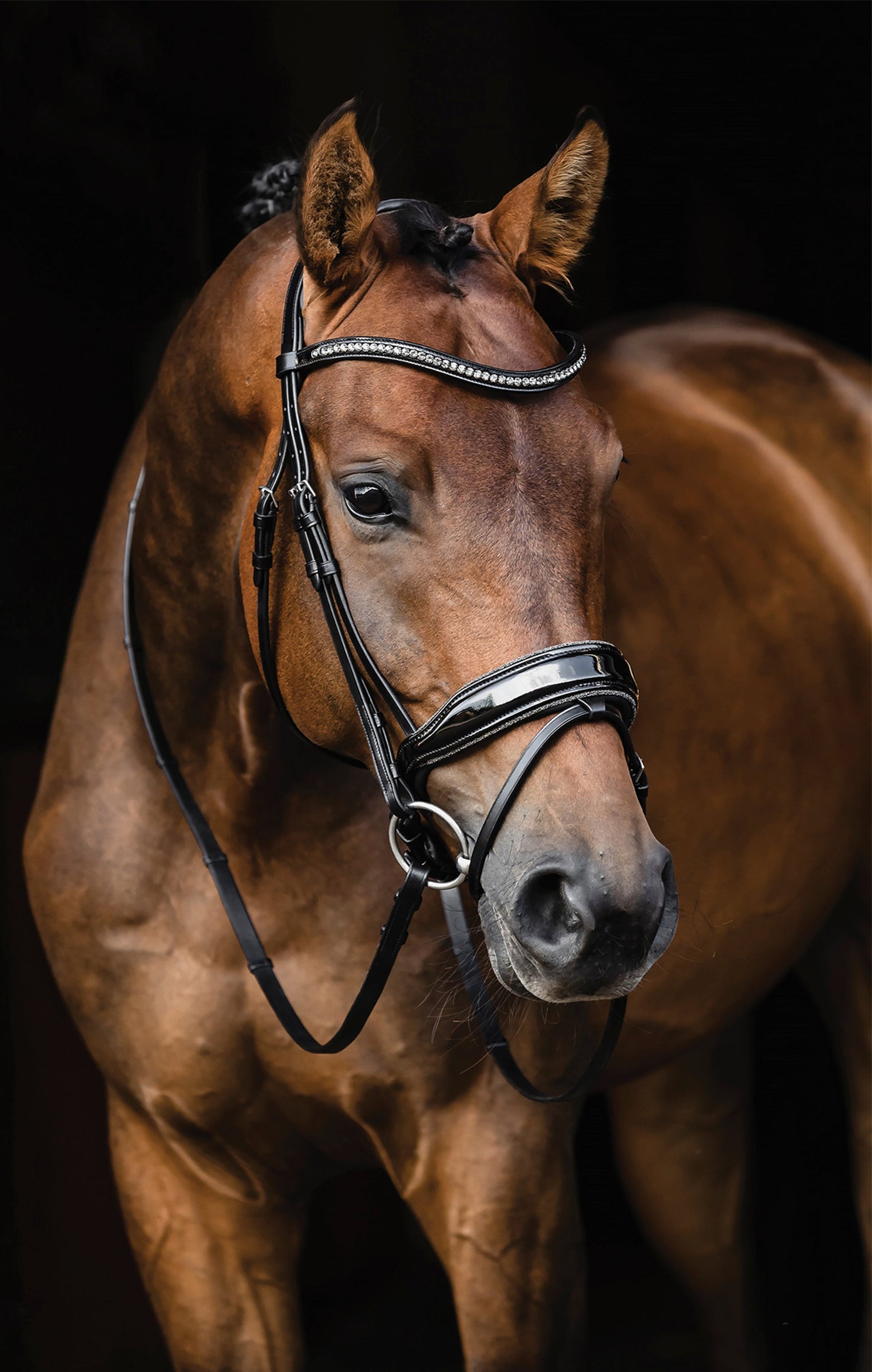 Standford Glam Bridle