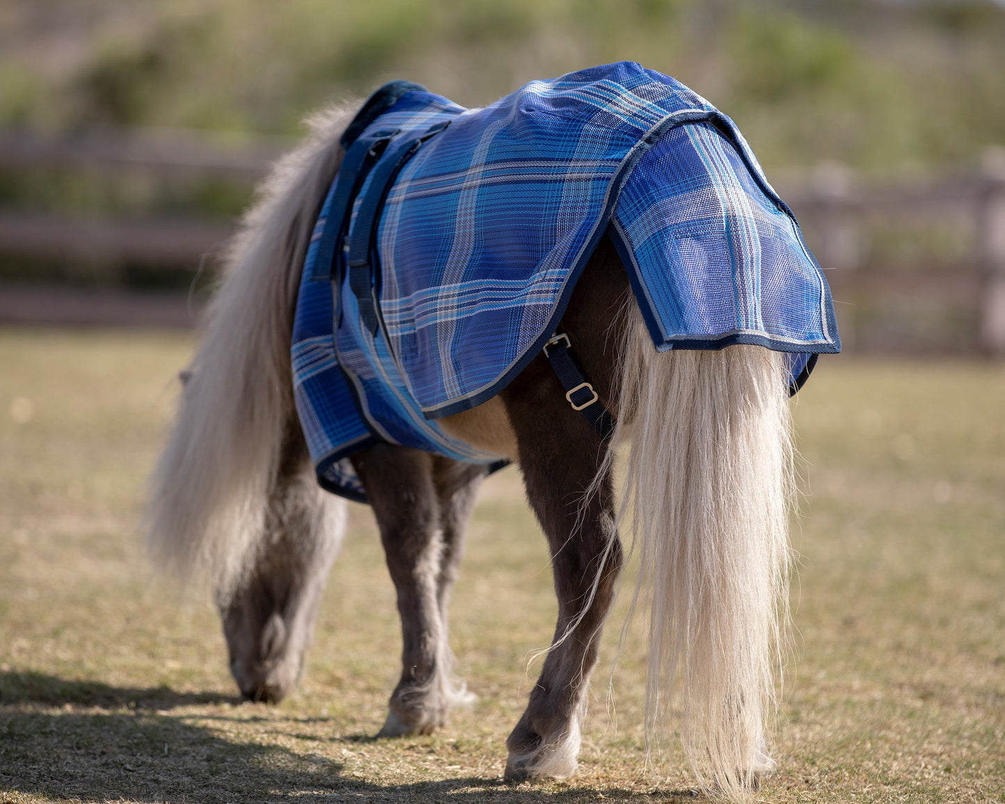 Protective Fly Sheet