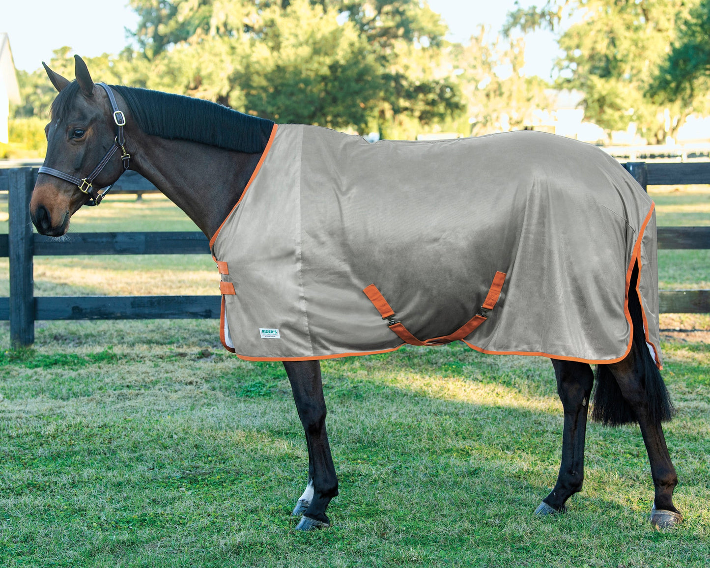 Fly Sheet