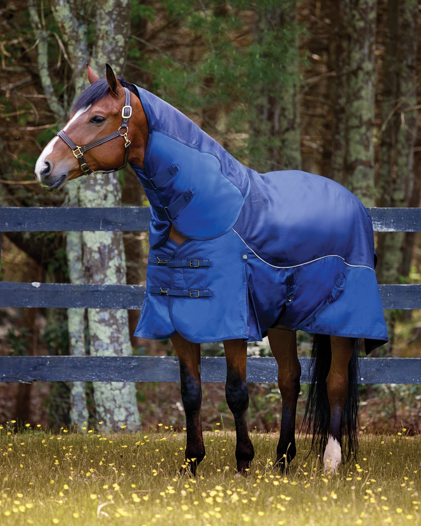 Medium-Weight Turnout Blanket