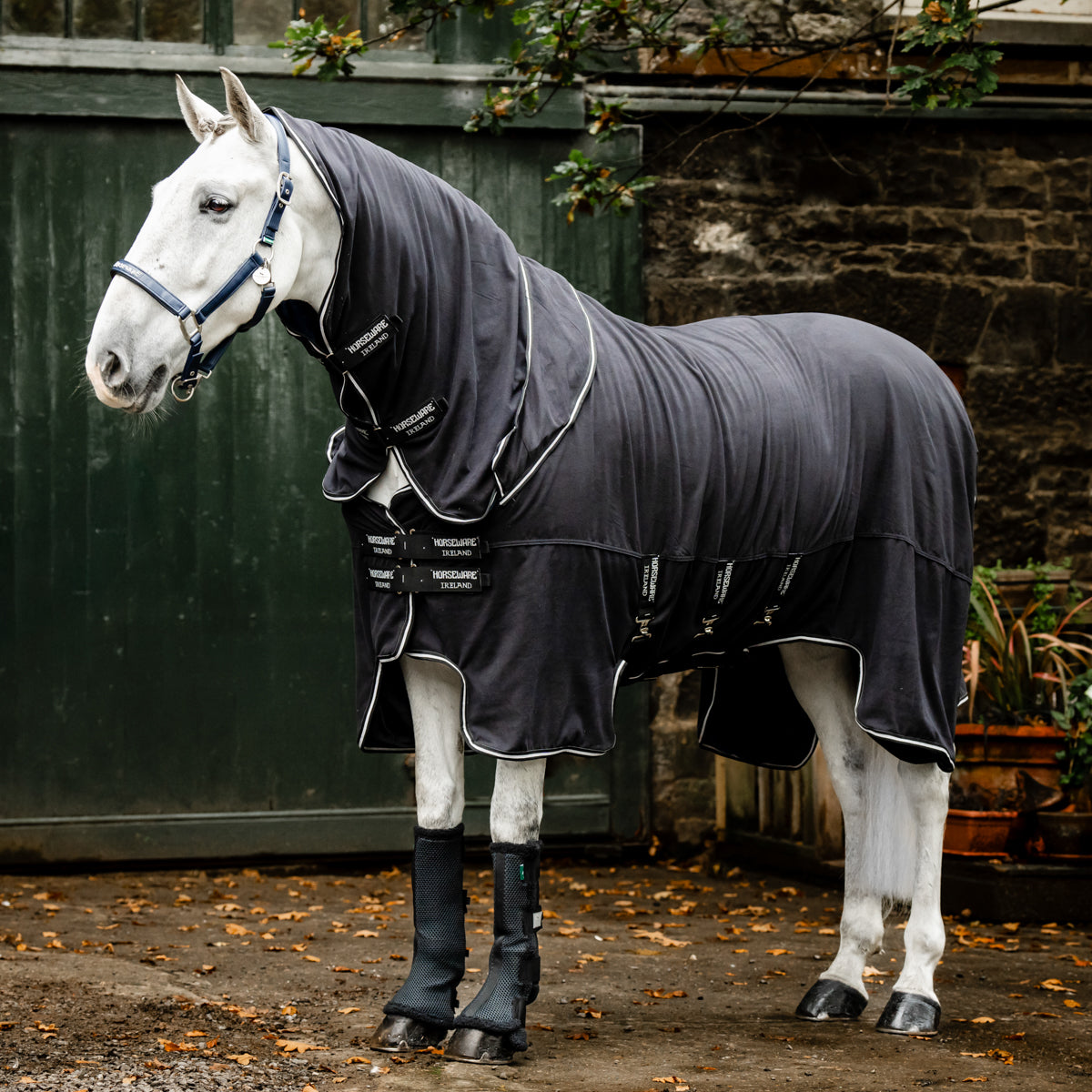Ireland Show Ready Rug