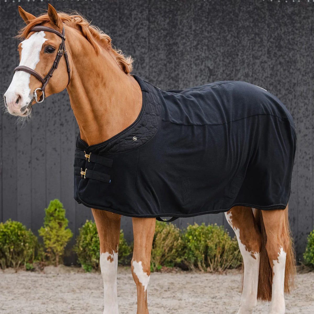 Deep Nights Fleece Cooler